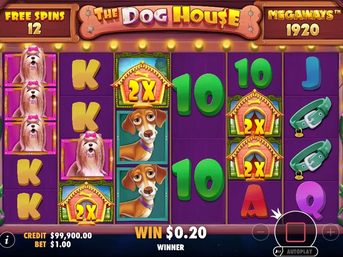 The Dog House Megaways slot by Pragmatic Play, playful dog theme with money symbol collection