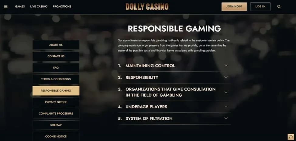 Responsible gaming tools and player protection features interface